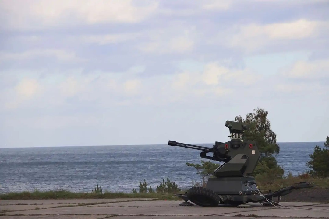 Zwalczania Polish Anti-Drone System (C)